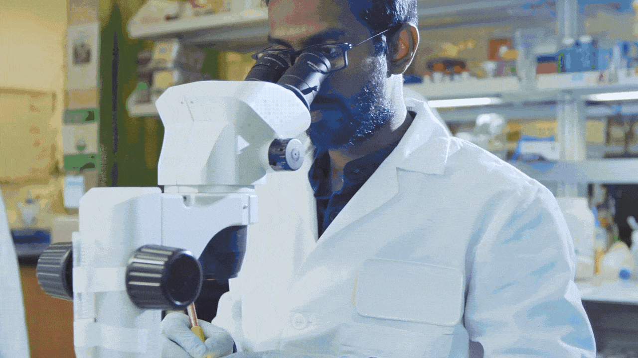 Eliminating Chronic Disease